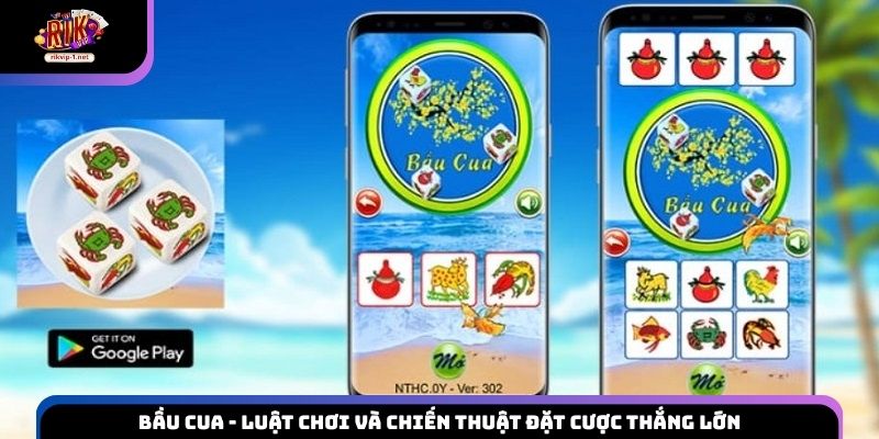 Bầu Cua