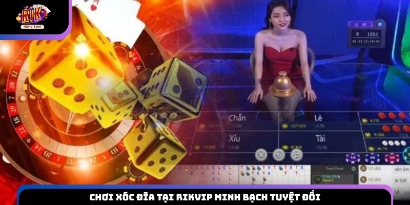 Chơi Xóc Đĩa tại Rikvip minh bạch tuyệt đối